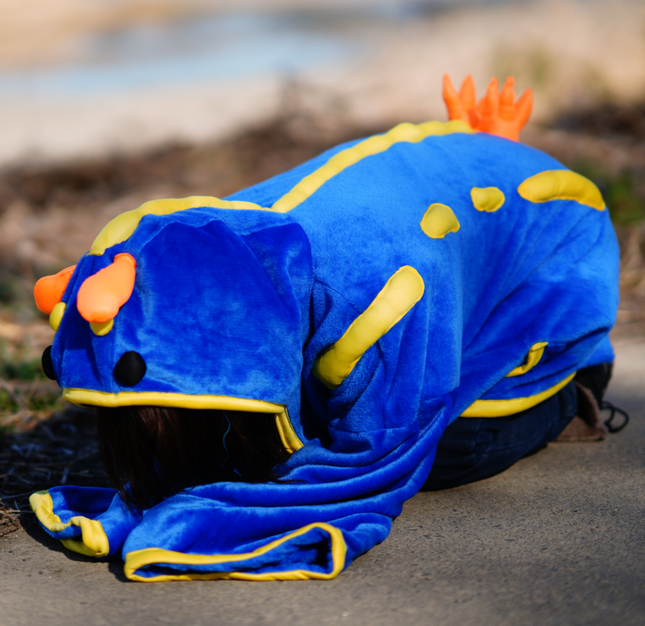 アオウミウシ オリジナルポンチョ | MINTOKO ONLINESHOP